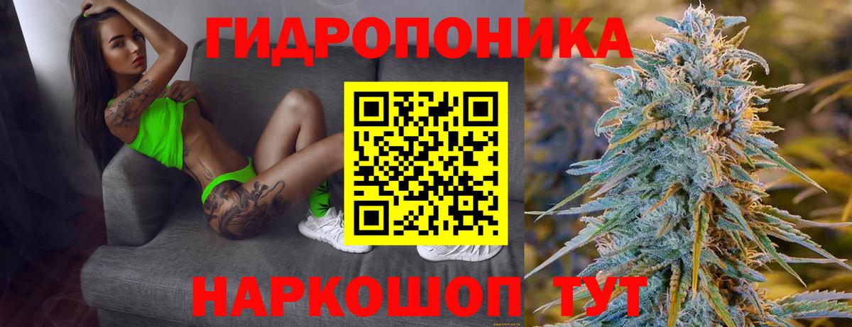 Бошки Шишки план Каменка